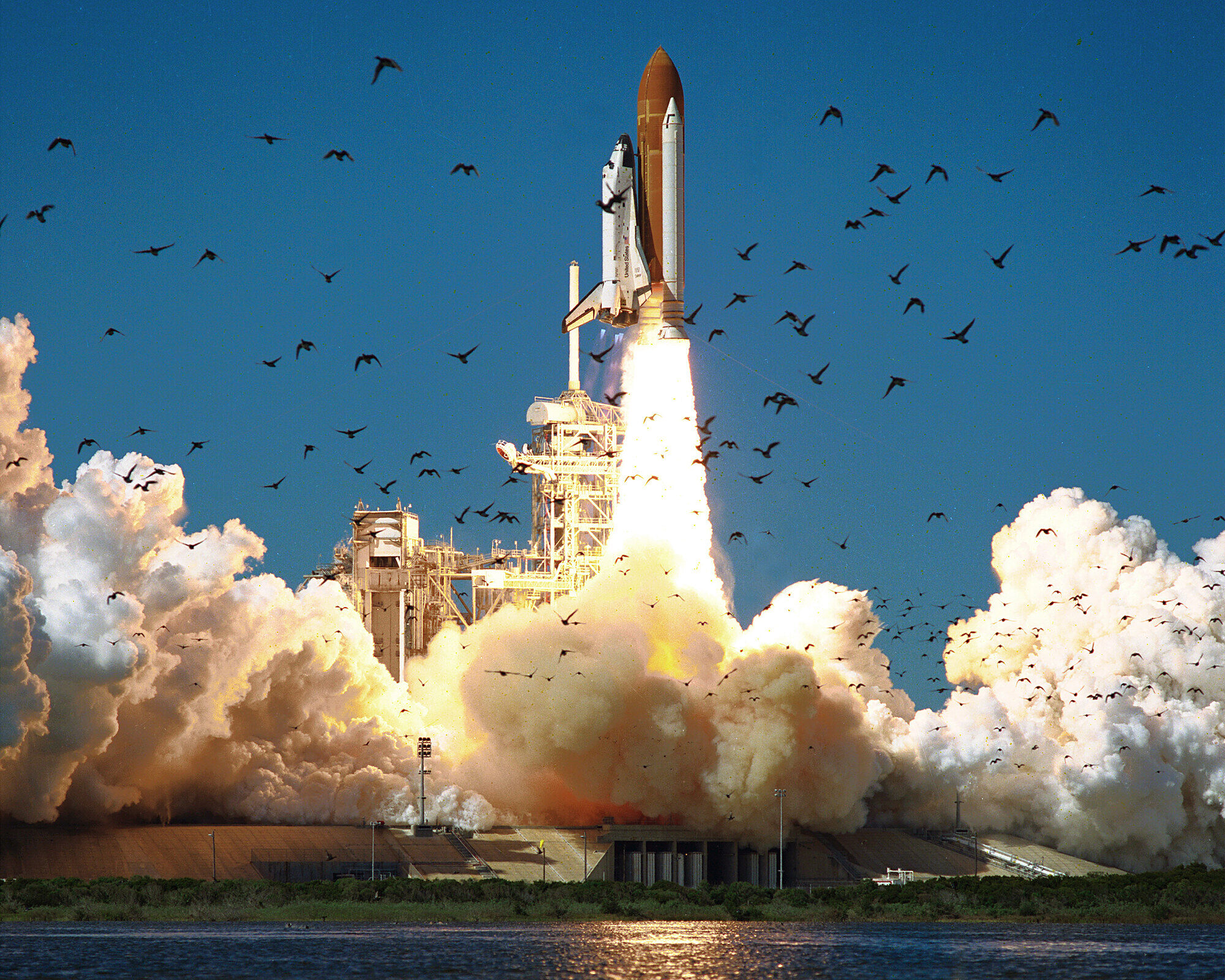 Space Shuttle Challenger lifting off from launch pad 39B on 28 January 1986, with a flock of birds in the sky