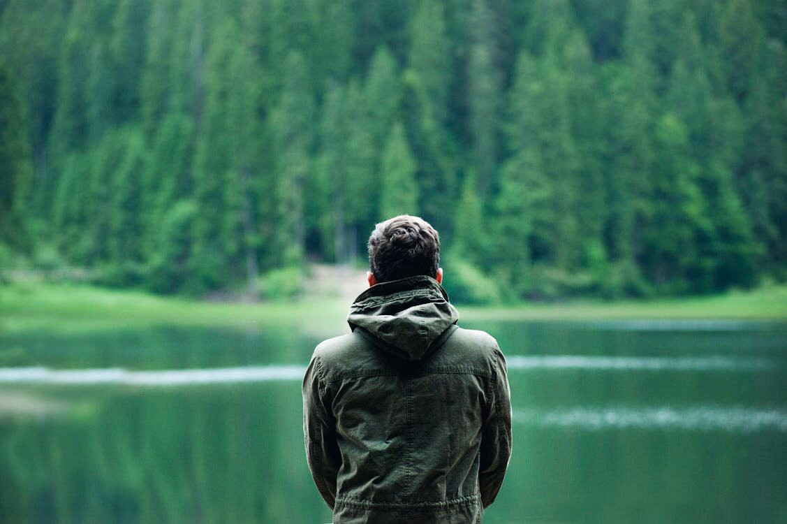 A man seen from behind, looking out over a still forest lake